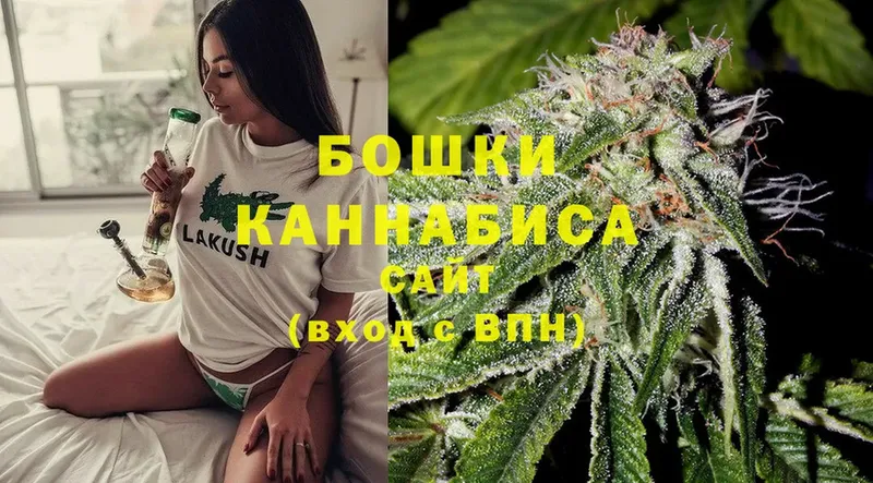 мориарти состав  Балашов  Бошки марихуана LSD WEED 